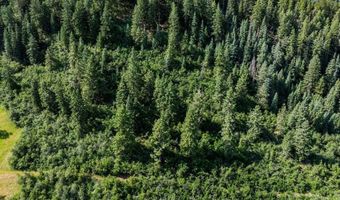 554 Pine Spring Dr, Bayfield, CO 81122