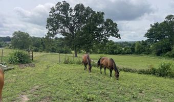 1107 Lower Ford Rd, Ava, MO 65608