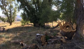 1000 SMITHS FORK Rd, Cokeville, WY 83114