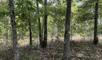 Tbd 7885 County Road 306 Pvt Drive-B, Ava, MO 65608