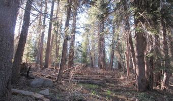 175 Silver Tip Dr, Bear Valley, CA 95223