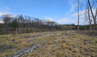 295 Shellstone Rd, Amsterdam, NY 12010