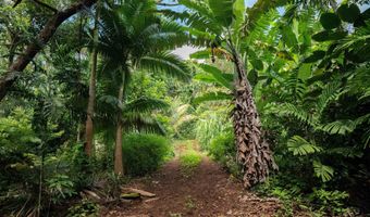 420 Haumana Rd, Haiku, HI 96708