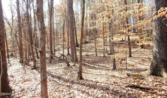 590 247 Country Rd, Bruce, MS 38915