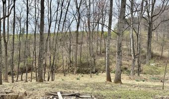 4947 Stones Dairy Rd, Bassett, VA 24055
