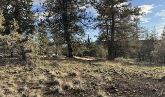 Canvasback, Bonanza, OR 97623
