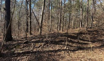 Cr 127, Abbeville, MS 38601