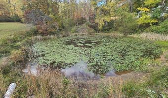 113 Fox Ave, Ansted, WV 25812