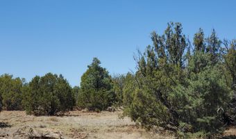 17 County Road 8077, Concho, AZ 85924