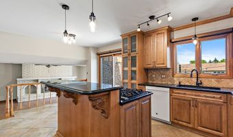 1133 N Thatcher Ln, Addison, IL 60101