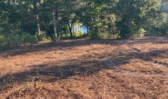 Sunshine Rd lot 1, Andalusia, AL 36421