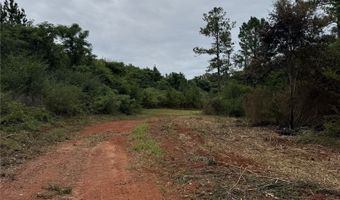 154 County Road 38 Acres, Banks, AL 36005