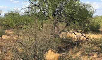 Xx00 S State Route 89, Congress, AZ 85332