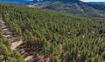 954 Pine Tree Dr, Bayfield, CO 81122