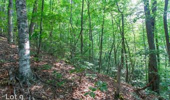 1200 Tobacco Branch Rd, Almond, NC 28702