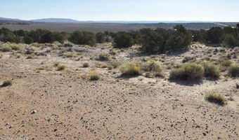 623 C Lazy S Ranch Rd, Concho, AZ 85924