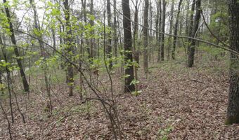 Long Branch Lane, Bee Branch, AR 72013