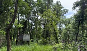 Tbd NW 67TH BOULEVARD, Alachua, FL 32615