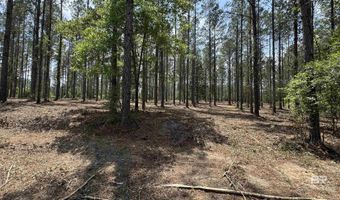 Ronald Sanks Road, Bay Minette, AL 36507