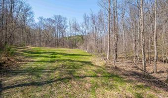 163 Acres Duck Springs Rd, Attalla, AL 35954