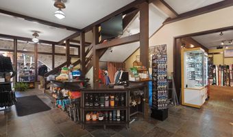 408 E Cooper Ave, Aspen, CO 81611