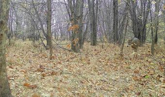 Arlington Street, Aredale, IA 50605