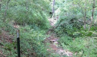 43 Sanctuary Ln, Alderson, WV 24910