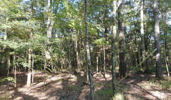 Anding Oil City Road, Bentonia, MS 39040