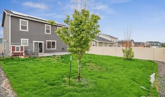 608 Apex Trl, Ault, CO 80610
