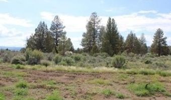 Deer Springs Road, Beatty, OR 97621