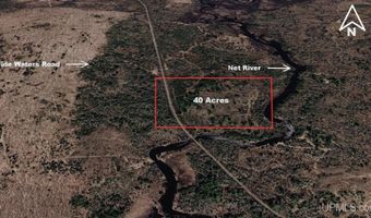 40 Acres Wide Waters Rd, Amasa, MI 49902