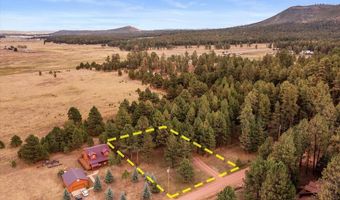 24 Co Rd 2065, Alpine, AZ 85920