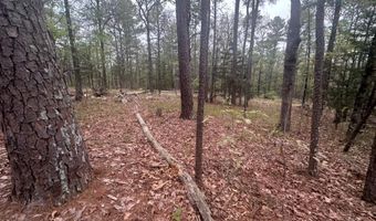 UNIT # 263B KIAMICHI WILDERNESS RD Unit # 63 63, Antlers, OK 74523