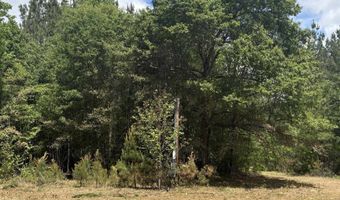 452 Tram Rd, Cades, SC 29518