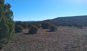 5 N8715, Concho, AZ 85924