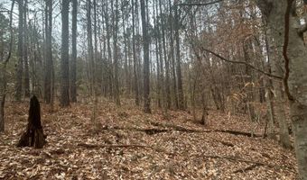 County Road 29, Alberta, AL 36720