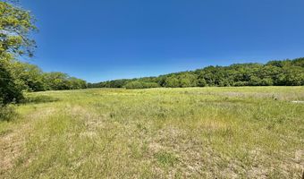 Jenkins Road, Alligator, MS 38720