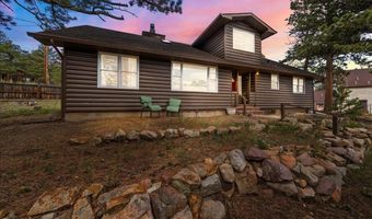 40 Ski Rd, Allenspark, CO 80510