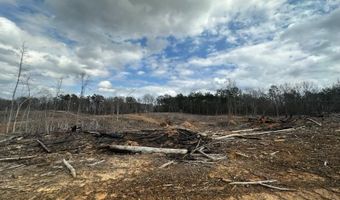 88 County Road 5345, Baldwyn, MS 38824