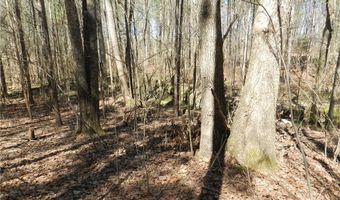 Tbd Oakland Avenue, Asheboro, NC 27205