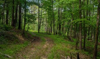 8830 County Road 57, Abbeville, AL 36310