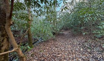 6 83ac Webb Creek Rd, Andrews, NC 28901