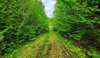 5897 VT-102, Bloomfield, VT 05905