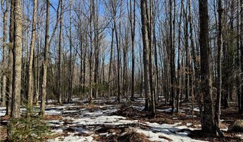County Hwy G lot 2, Winter, WI 54896