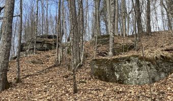 0 TBD Elleber Sods Rd, Bartow, WV 24920