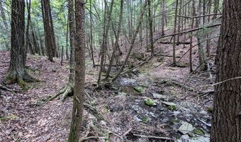 Stewart Road, Addison, NY 14801