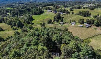 117 Forest Fern Ln, Alexander, NC 28701