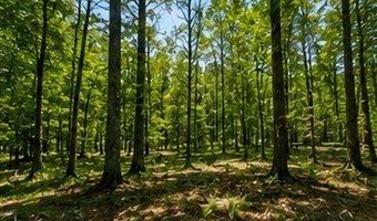 14 Legacy Shores Dr, Alberta, AL 36720
