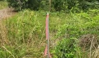 00 Pleasant Grove Church Road B, Albany, GA 31707