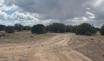 1 B County Road 8285 201-34-001B, Concho, AZ 85924